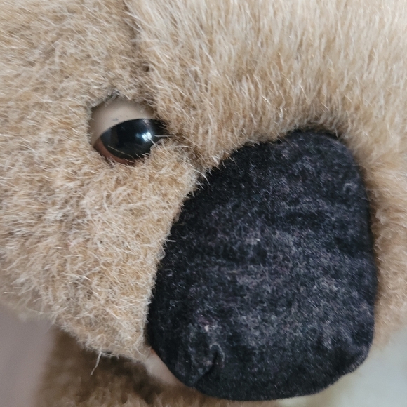 Folkmanis Koala Bear Puppet Plush Stuffed Animal With Vines - Picture 10 of 10